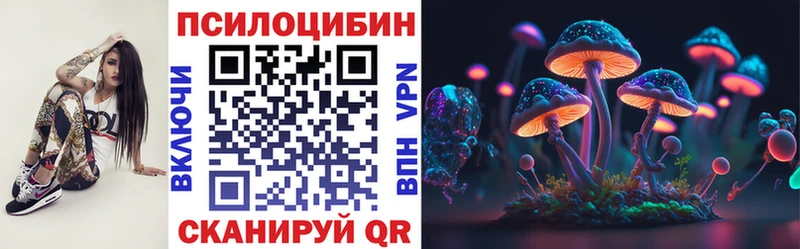 купить  сайты  Ливны  Псилоцибиновые грибы MAGIC MUSHROOMS 